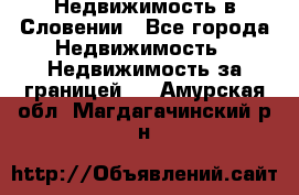 Недвижимость в Словении - Все города Недвижимость » Недвижимость за границей   . Амурская обл.,Магдагачинский р-н